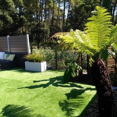 Villa Patio Terrasse Privative Ocean 10 Min A Pied セノッス - ル・ペノン エクステリア 写真