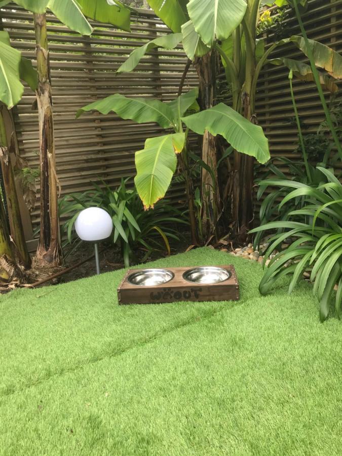 Villa Patio Terrasse Privative Ocean 10 Min A Pied セノッス - ル・ペノン エクステリア 写真